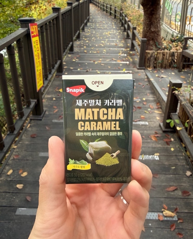  오늘 간식 | 제주말차 카라멜 (MATCHA CARAMEL)