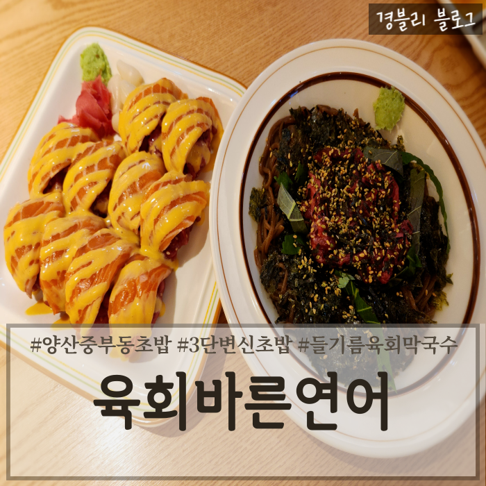  양산중부동밥집 양산육회맛집 양산초밥맛집 '육회바른연어 양산신도시점'