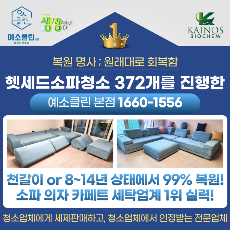 헷세드쇼파청소? 372개를 진행한 천갈이상태에서도 및 99%복원