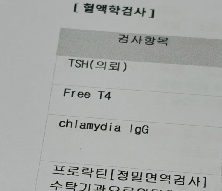  난임검사 혈액검사 면역검사 기록.. 결과지를 봐도 무슨 용어인지 모르겠다