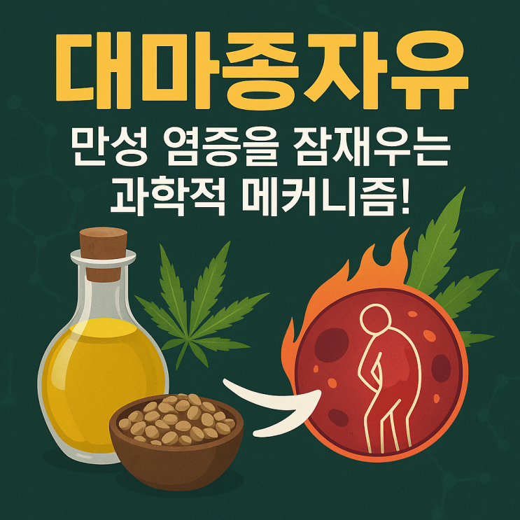  대마종자유가 만성 염증을 낮추는 이유와 작용 메커니즘