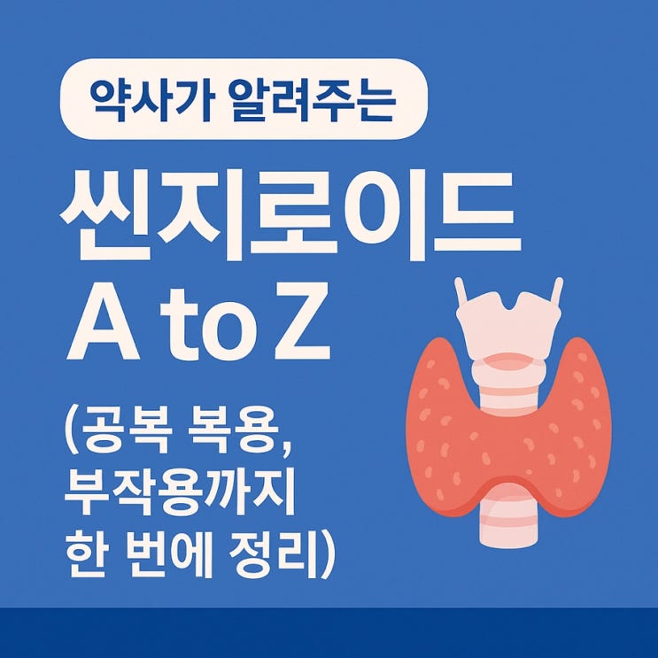  약사가 알려주는 씬지로이드 A to Z