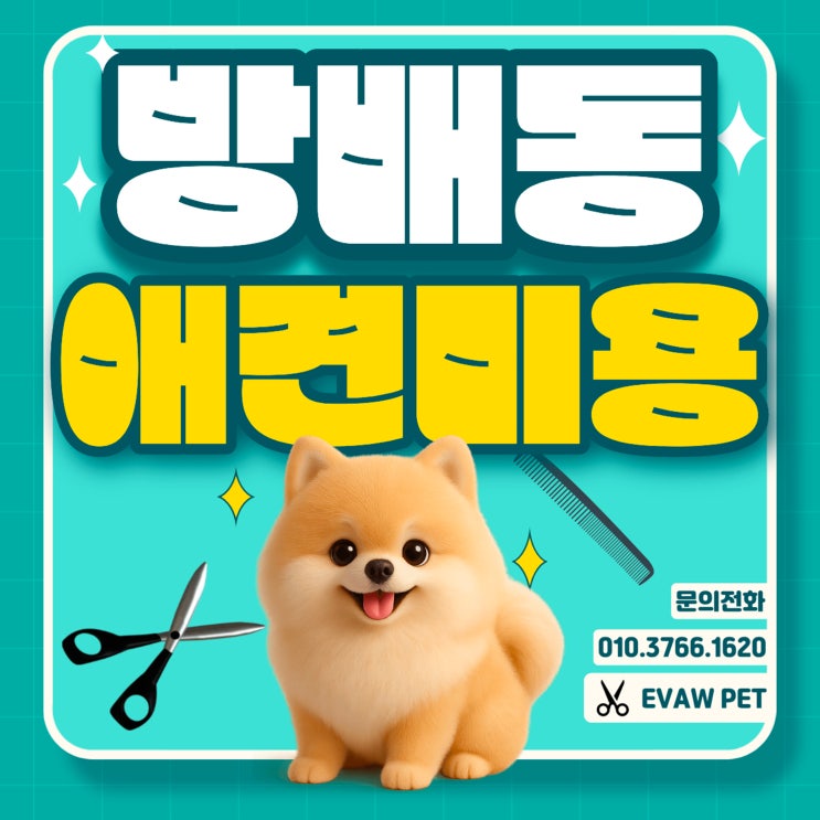  방배동애견미용학원, 반려견 케어부터 주부 창업까지 가능한 자격증