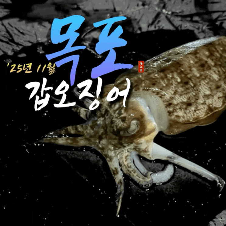  목포 갑오징어 낚시 11월 도보권 워킹 포인트 탐사