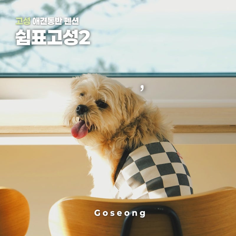 사진 2