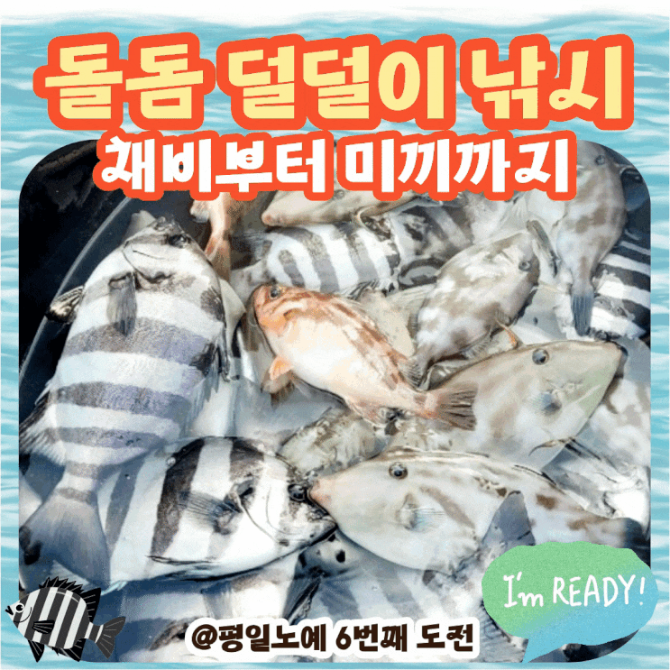  돌돔 덜덜이 낚시 미끼 채비 낚싯대 준비