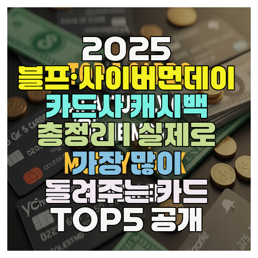  2025 블프·사이버먼데이 카드사 캐시백 총정리 | 실제로 가장 많이 돌려주는 카드 TOP5 공개