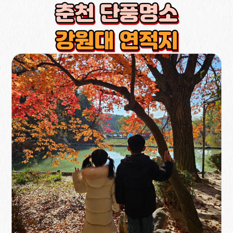  춘천 단풍구경 명소_강원대 연적지 아이랑 가볼만한 곳으로 추천해요!