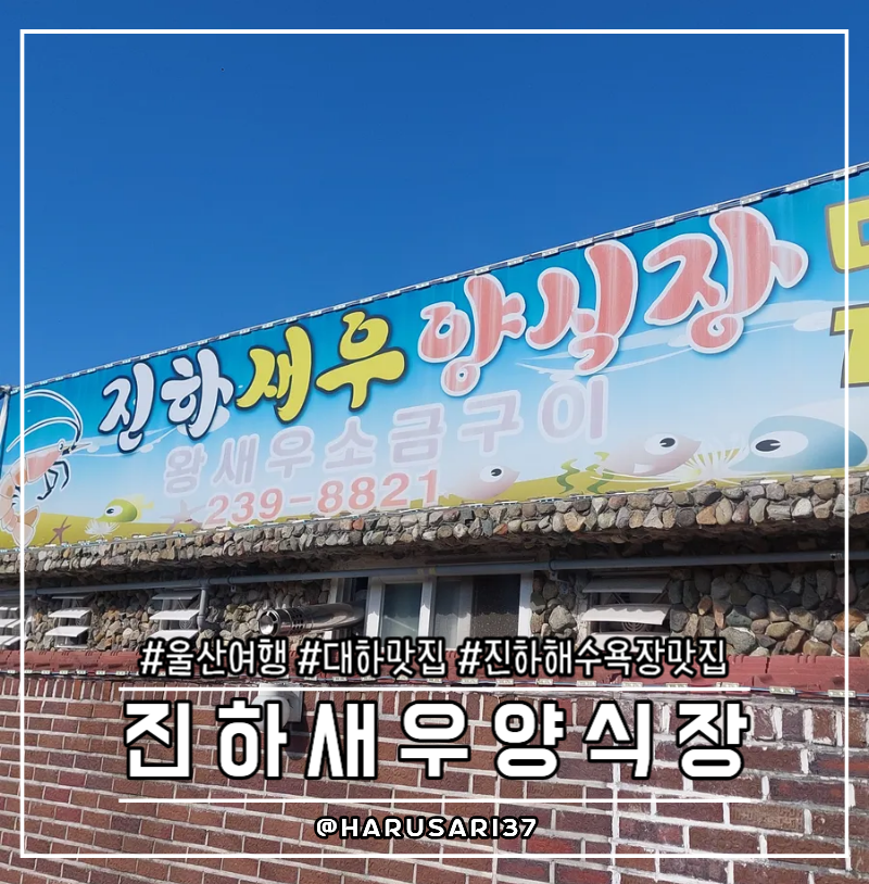 진하새우양식장 사진 2
