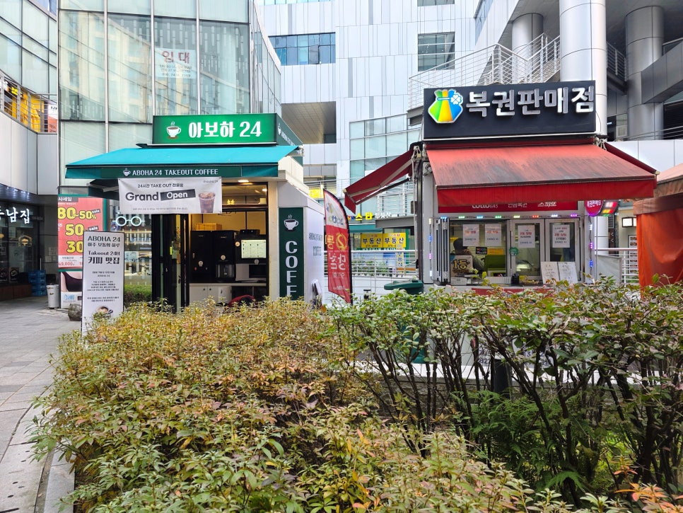아보하24 사진 4