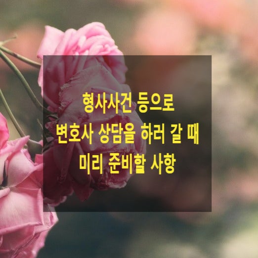  변호사 상담을 하러 갈 때 미리 준비할 사항(형사, 피의자, 피고인, 피고소인, 고소인)