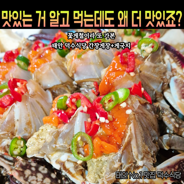  첫방문보다 더 만족한 태안 덕수식당 평일 웨이팅 재방문후기(평일 웨이팅, 주차, 메뉴판)