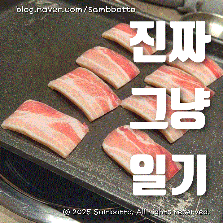  진짜 그냥 일기 | 기분 좋은 날, 긍정적인 하루, 뭘 해도 되는 날, 좋은 어른이란 뭘까