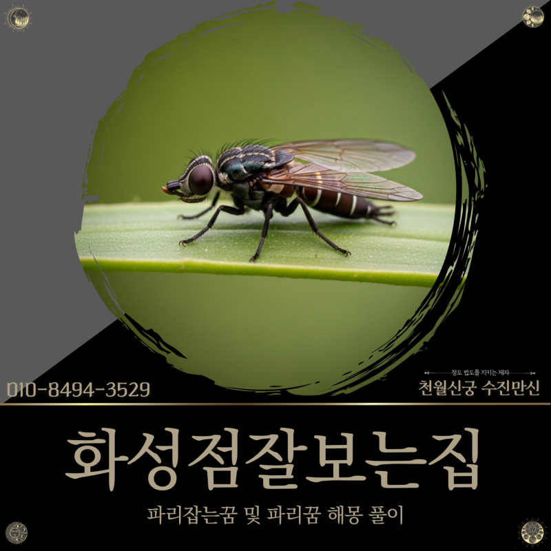 화성점잘보는집, 파리잡는꿈 및 파리꿈 해몽 풀이