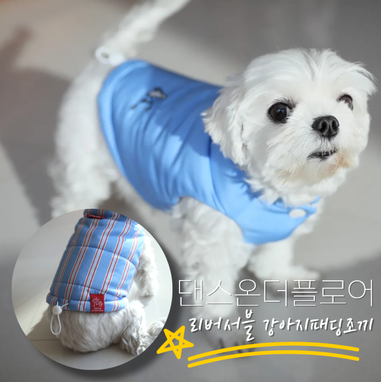 댄스온더플로어 강아지패딩조끼 후기