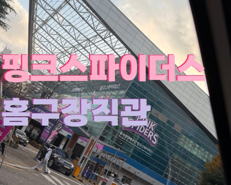 (251116 여자배구직관) 흥국생명 핑크스파이더스 인천광역시 여자프로배구팀 홈구장 삼산월드....