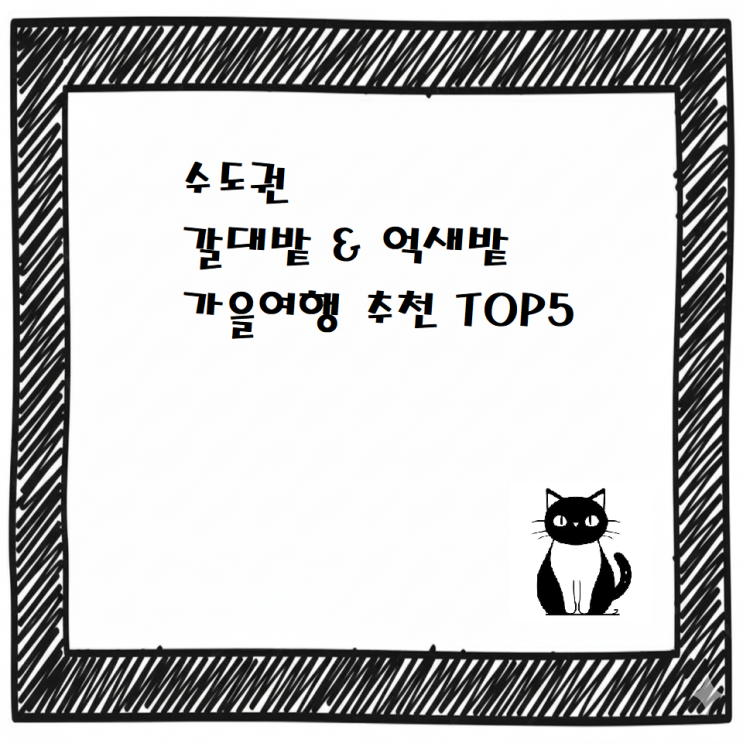  [최신] 수도권 갈대밭 & 억새밭 힐링 산책 알려지기전go 추천 TOP5 / 수도권 갈대밭 가을여행 추천
