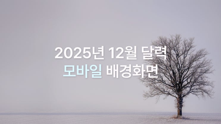  2025년 12월 달력 아이폰 17 프로맥스 고화질 겨울 감성 배경화면 8종