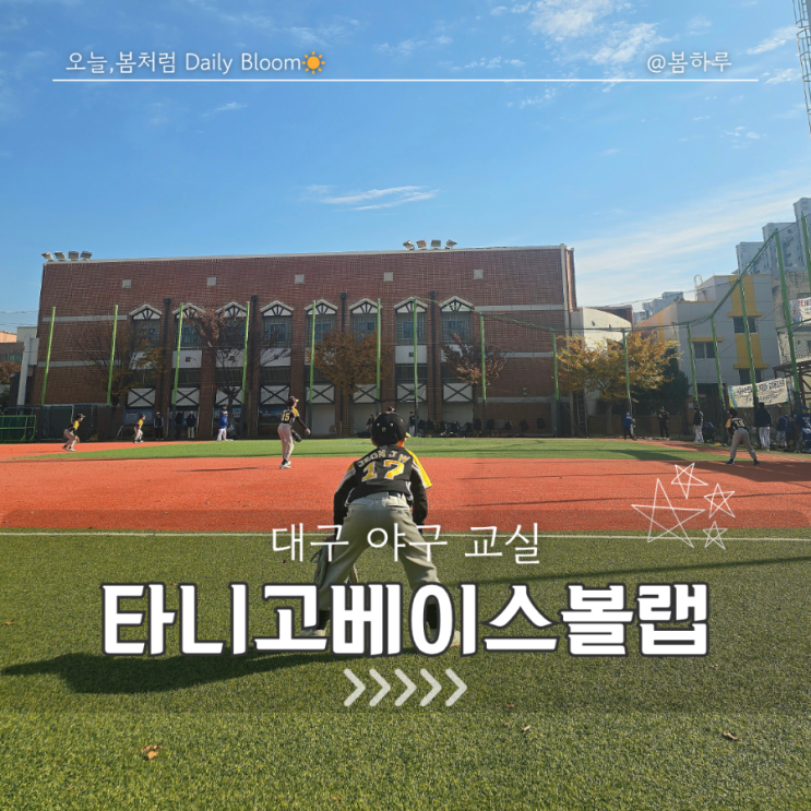  대구야구교실 추천/ 타니고베이스볼랩 솔직 후기