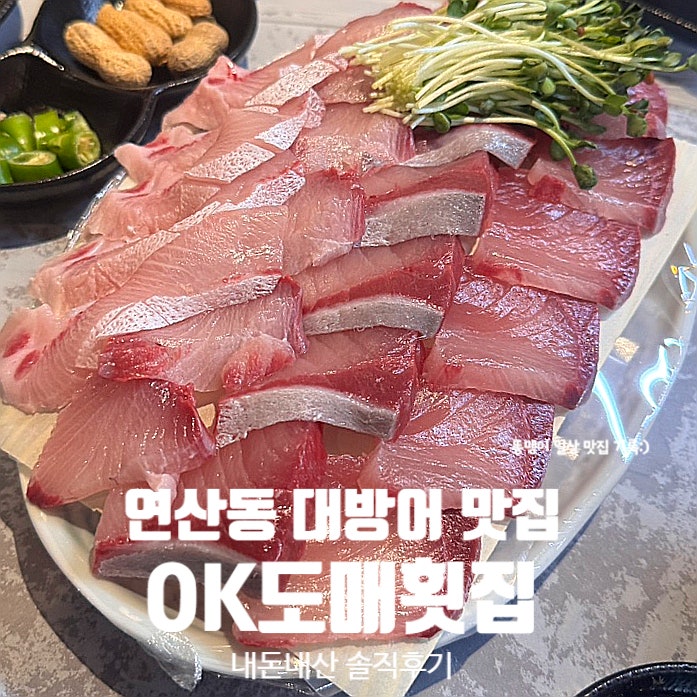  연산동 가성비 횟집 오케이도매횟집 연산점 대방어 맛집 추천 내돈내산