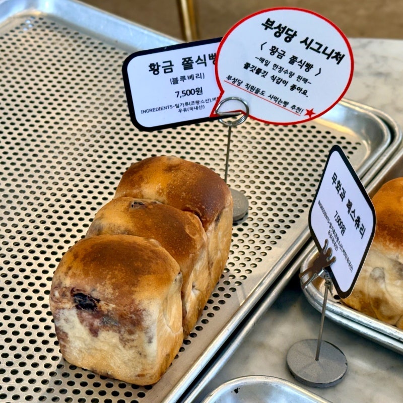 사진 7