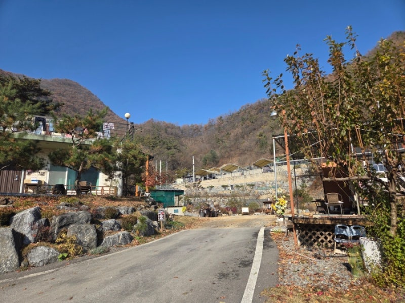사진 2
