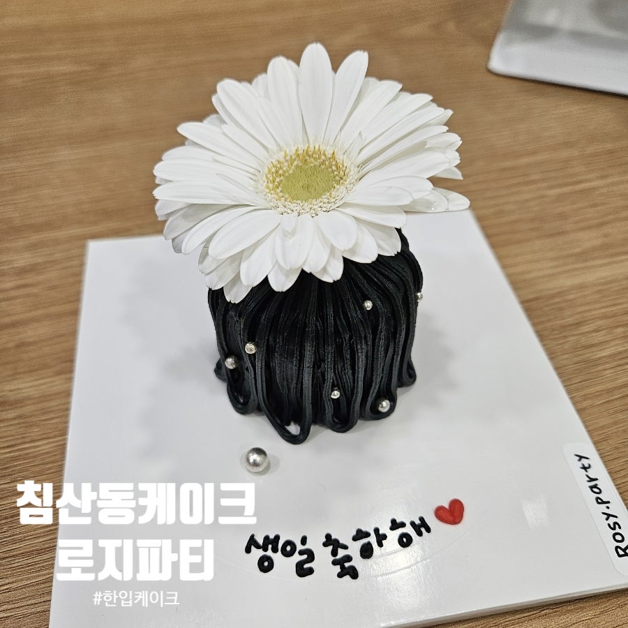 로지파티 사진 1