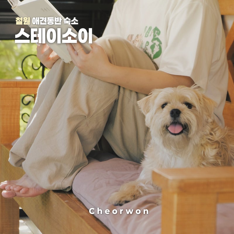 사진 2