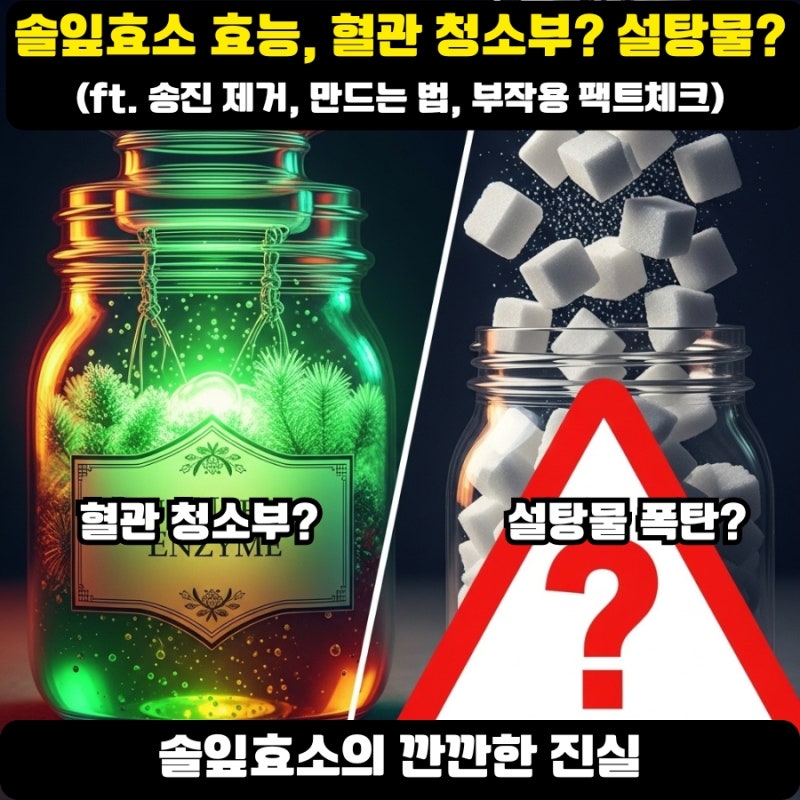 솔잎효소 효능, 혈관 청소부? 설탕물? (ft. 송진 제거, 만드는 법, 부작용 팩트체크)