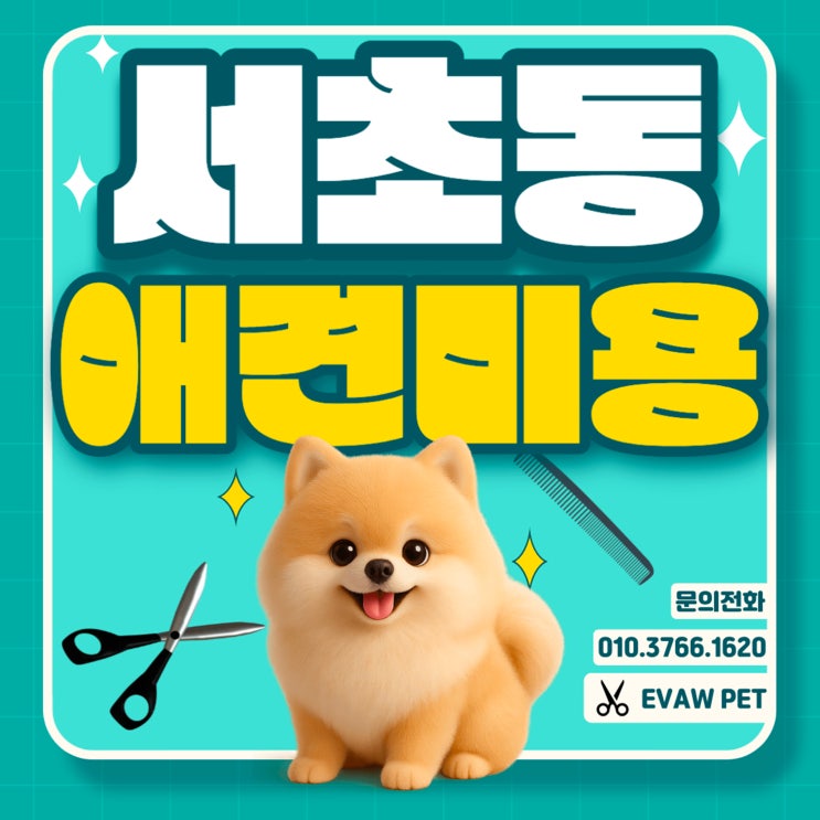  서초동애견미용학원ㅣ고등학생 진로·대입·취업·창업까지 연결되는 실무 교육