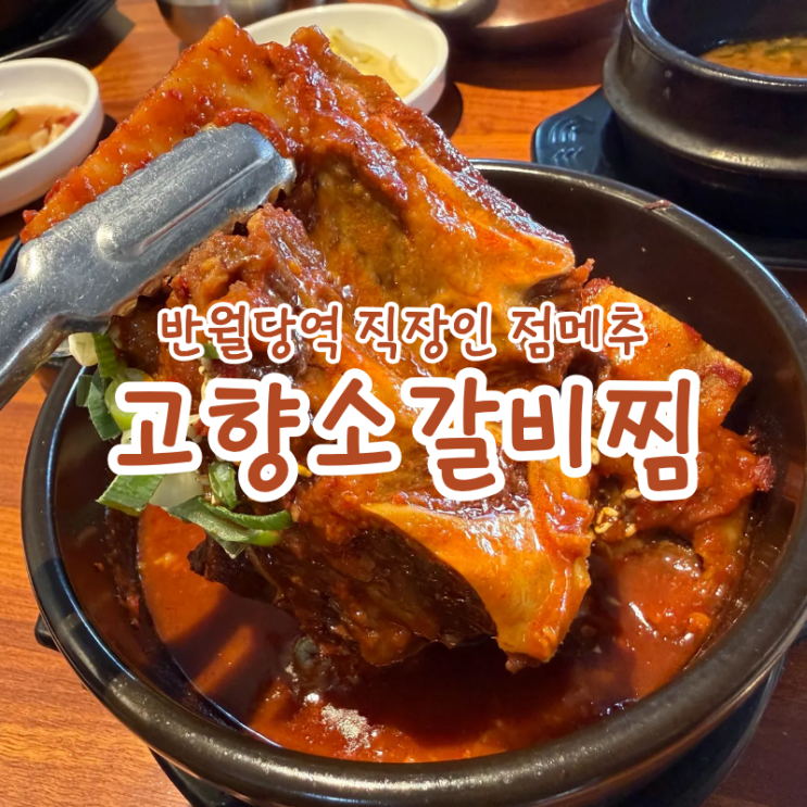  대구 반월당역 맛집 고향 소갈비찜 동성로 인근 직장인 점심메뉴로 추천