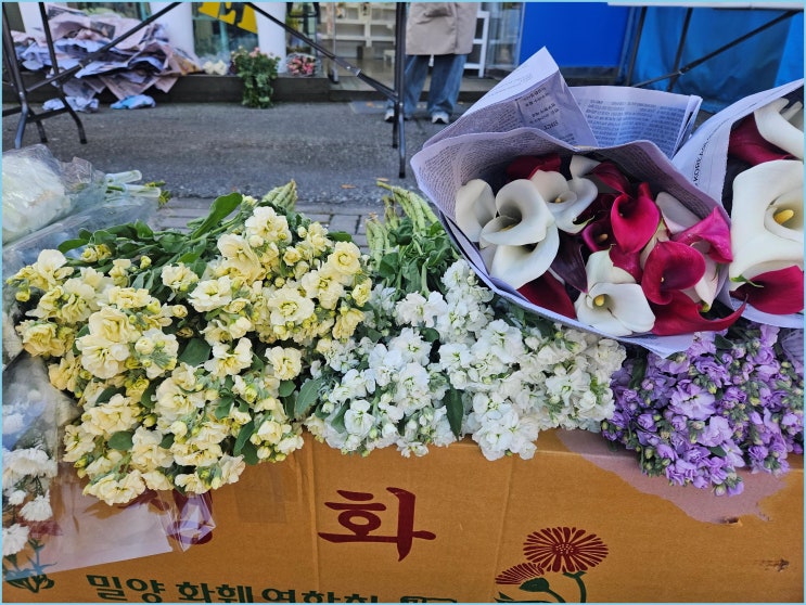  춘천꽃집 투맨플라워, 신선함과 가성비가 빛나는 곳