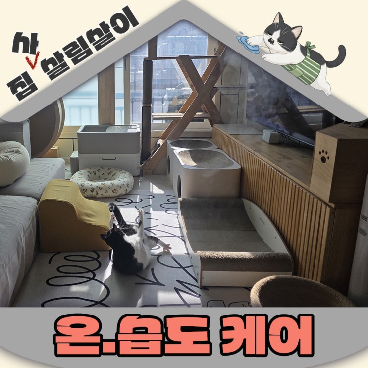  병원비아끼는 겨울 적정온습도 고양이집 환경조절 팁
