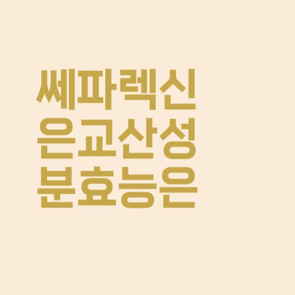  쎄파렉신 캡슐 은교산 성분의 목감기 효능이 궁금하시다면