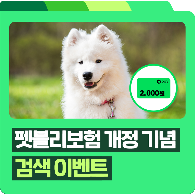 [이벤트] 더 든든하게 개정된 DB손해보험 펫블리 반려견 보험, 검색 이벤트 참여하면 네이버 ....
