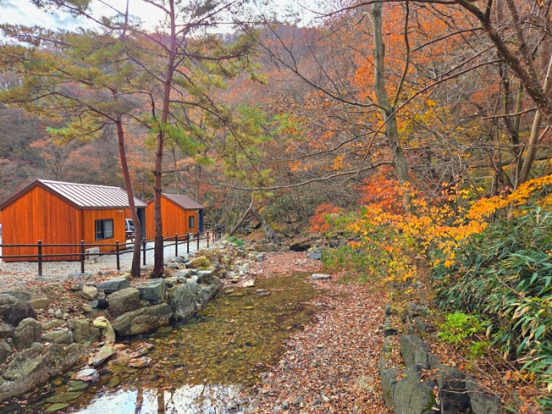 진안 운장산자연휴양림 캐빈 이용후기 2025년 재개장한 야영장 데크정보