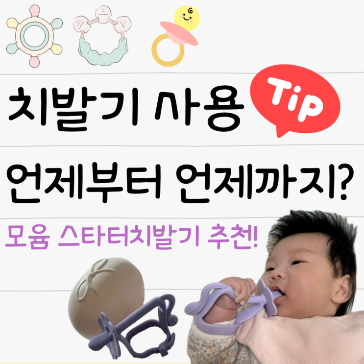  치발기 사용 시기 언제부터 언제까지 모윰 스타터 사자 치발기 추천