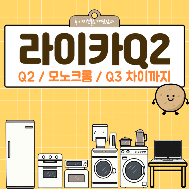 라이카Q2 모노크롬 사양부터 Q3 차이까지