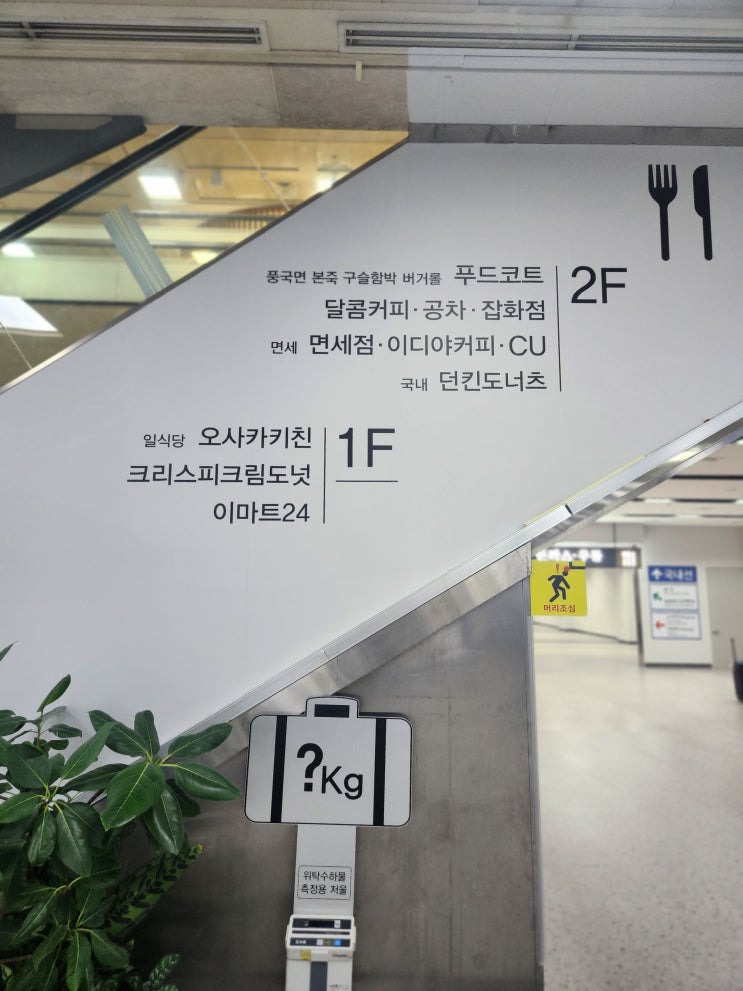  대구국제공항 라운지 면세점 식당 카페 안내