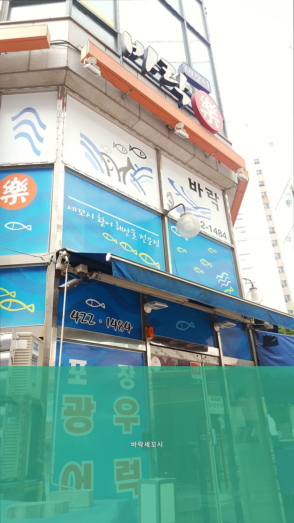 바락세꼬시 사진