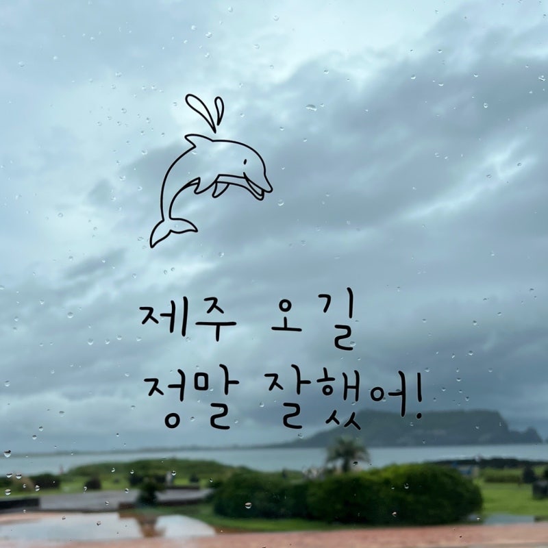 제주 아쿠아플라넷 공연 시간표 수유실 위치