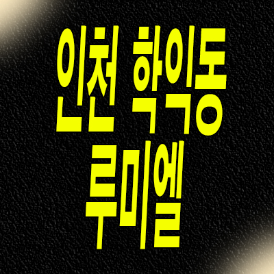  인천 학익지구 지역주택조합 학익동 루미엘 분양가 공급
