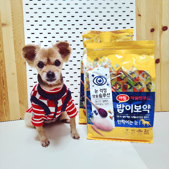  강아지눈물자국 노령견 백내장 관리, 강아지눈물사료 밥이보약 추천