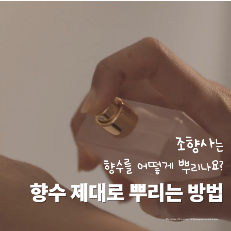  향수 뿌리는 방법 위치 부위