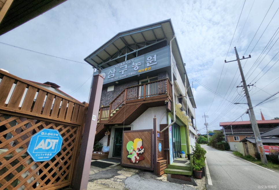삼구농원 사진 2