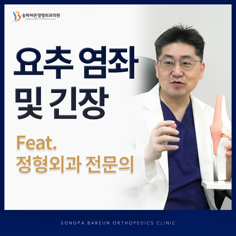 요추의 염좌 및 긴장 단계별 관리 방법