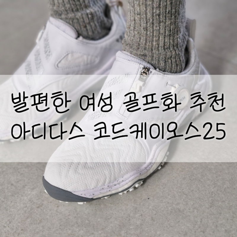 여성 골프화 추천 아디다스 코드케이오스 25 9만원대 세일 득템
