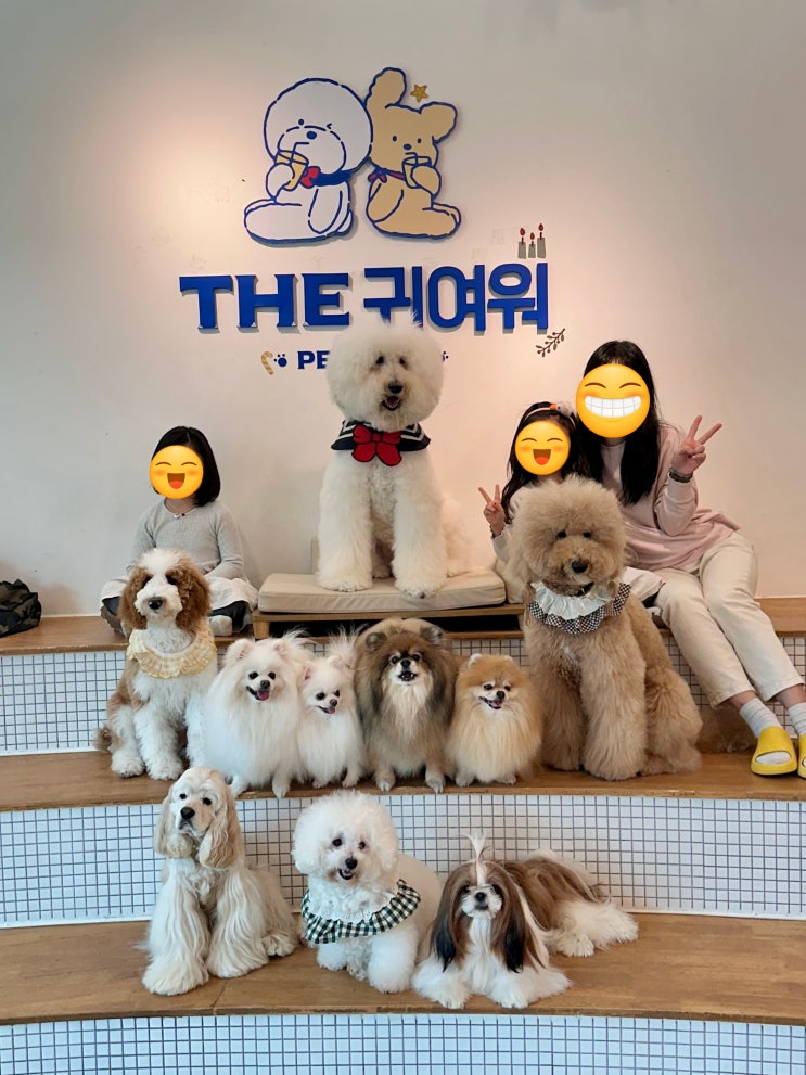  홍대 더 귀여워
