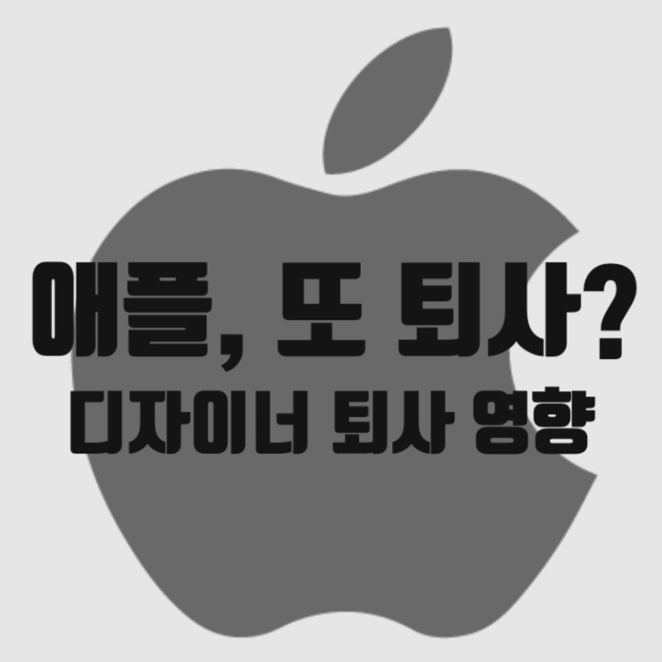  “애플 핵심 인재 또 이탈” 아이폰 에어 디자이너 퇴사 영향, 후속작 일정도 달라졌다