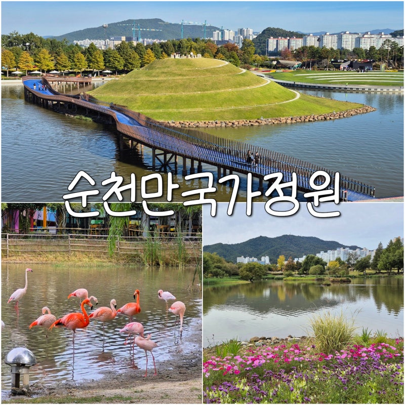 순천 여행 순천만국가정원 코스 입장료 지도 식물원 홍학 위치
